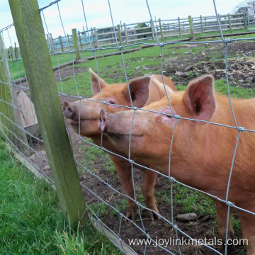 Knot Fixed-knot Game Field Fence